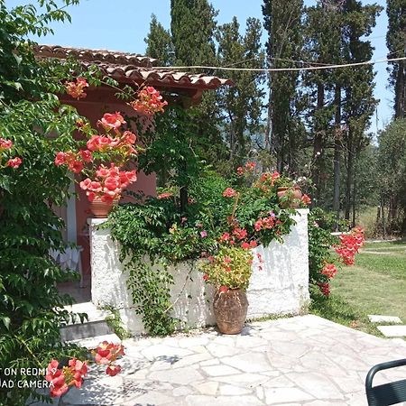 Errika Daire Ypsos Dış mekan fotoğraf