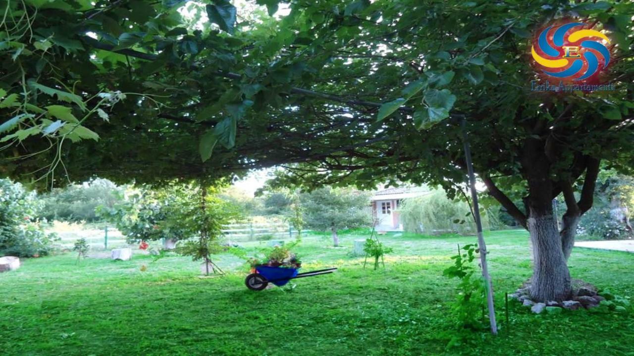Errika Daire Ypsos Dış mekan fotoğraf
