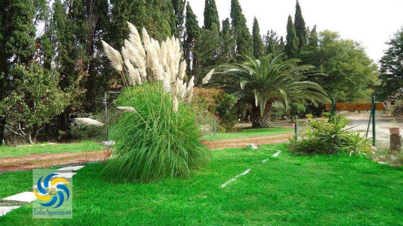Errika Daire Ypsos Dış mekan fotoğraf