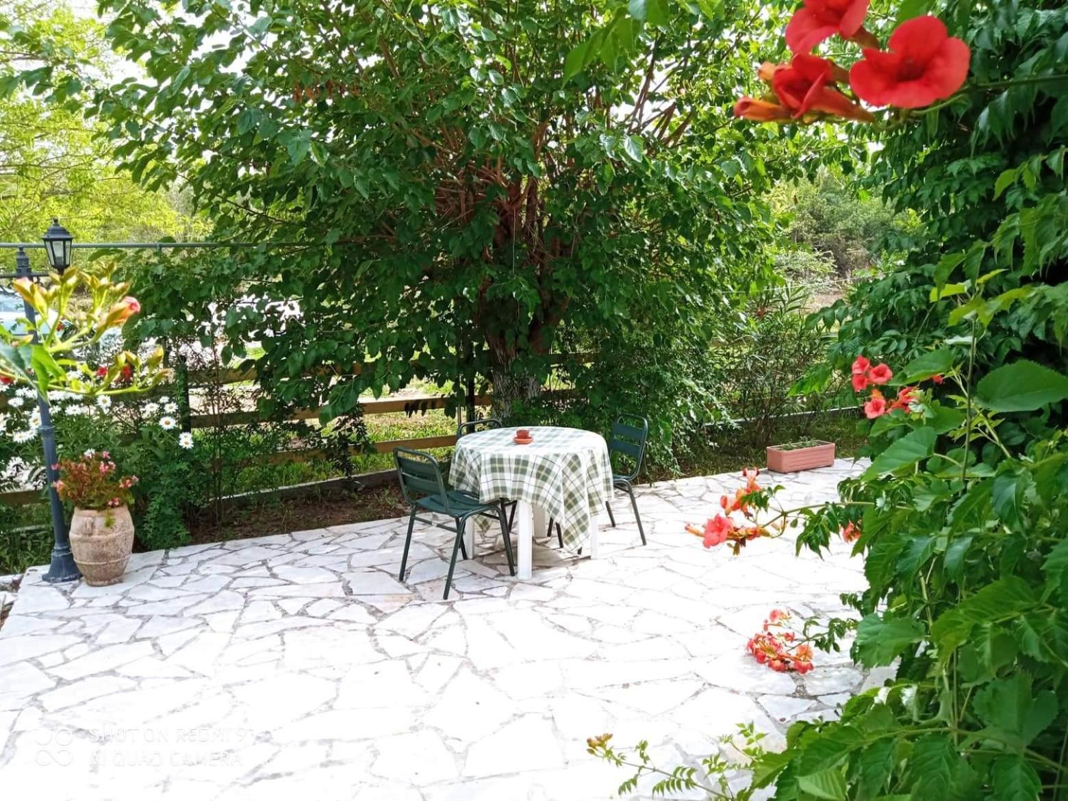 Errika Daire Ypsos Dış mekan fotoğraf