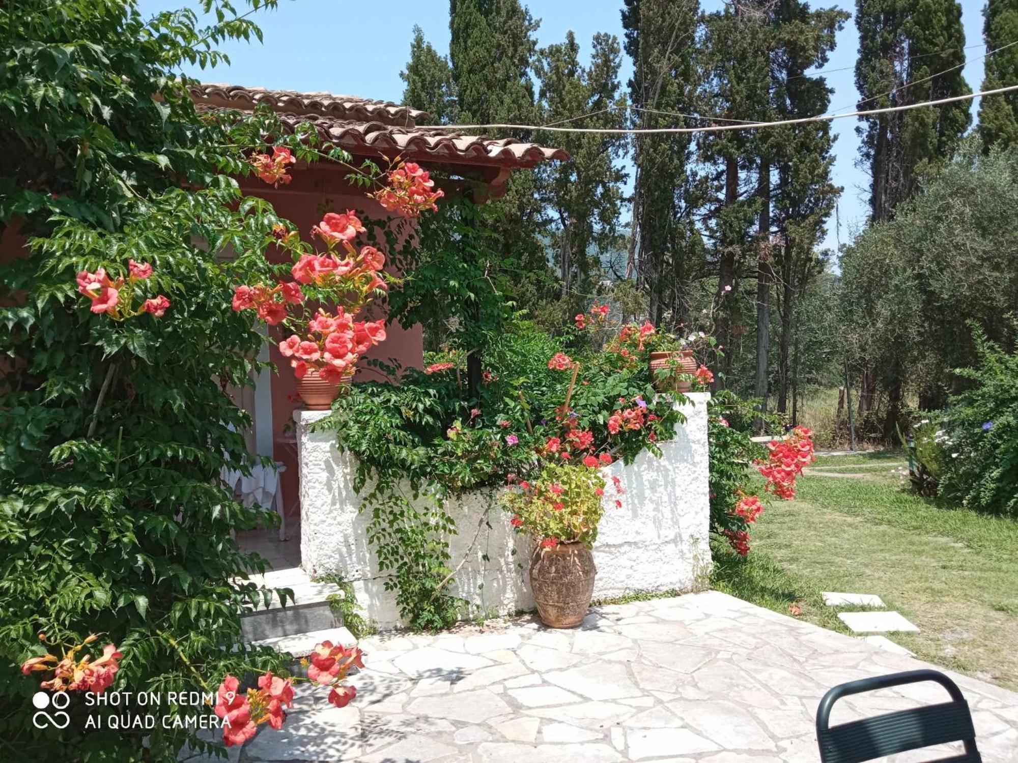 Errika Daire Ypsos Dış mekan fotoğraf