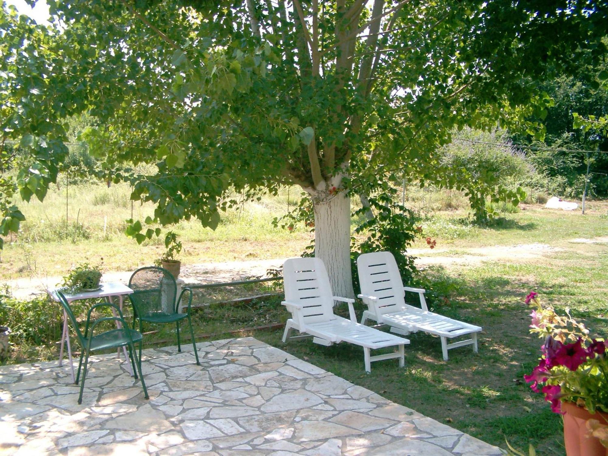 Errika Daire Ypsos Dış mekan fotoğraf