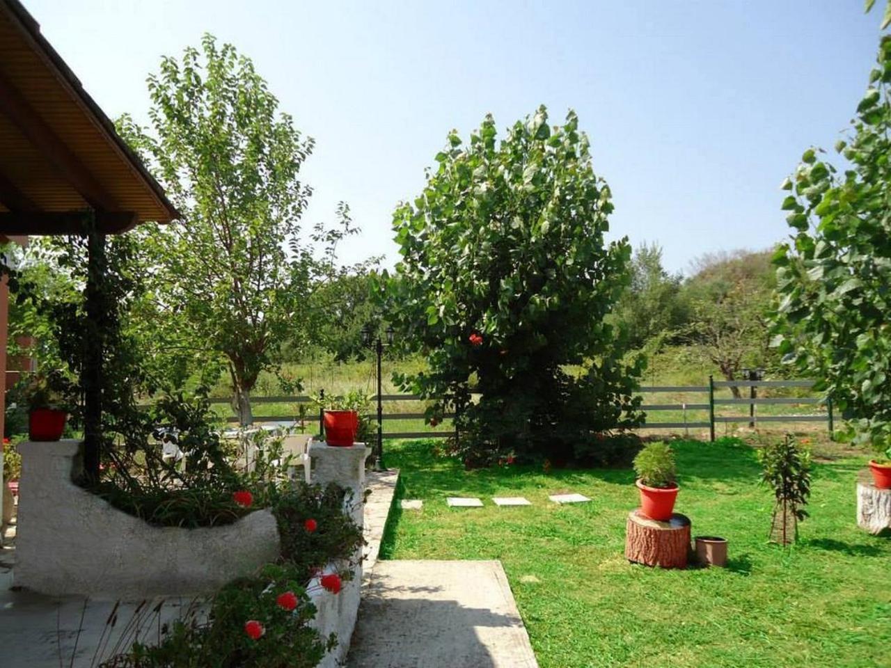 Errika Daire Ypsos Dış mekan fotoğraf