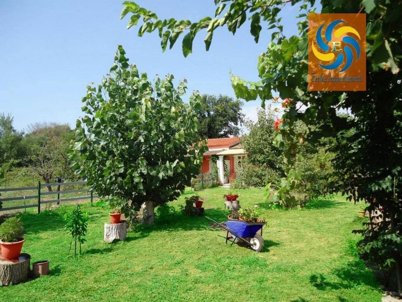 Errika Daire Ypsos Dış mekan fotoğraf